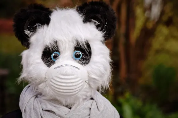 SlotsWin Casino Tacaíocht